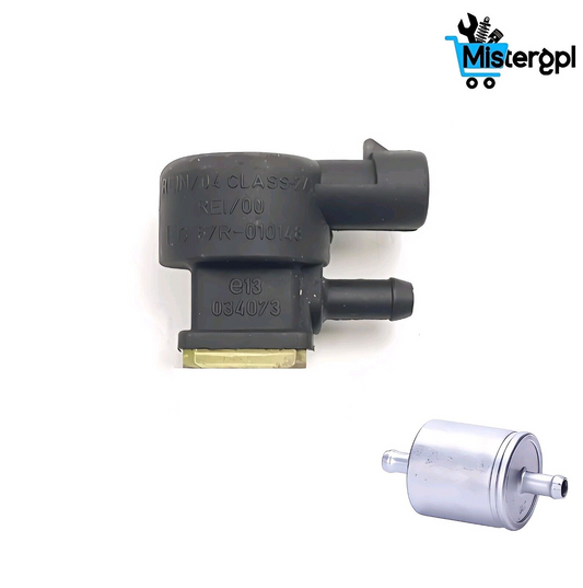 INIETTORE ROMANO GPL FAST2 GAS REIN/04 67R-010148 REI/00 ORIGINALI AUTO GAS