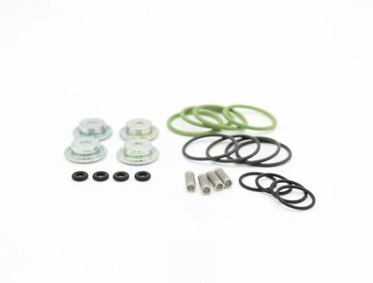 Kit REVISIONE Iniettori Landi Renzo Evo I-Plus 674915000